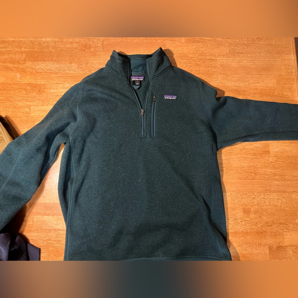 Patagonia M’s Better Sweater discontinued Piki Green size L like new